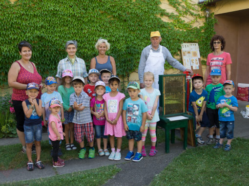Kindergarten Marchegg Bahnhof besucht die Bienen