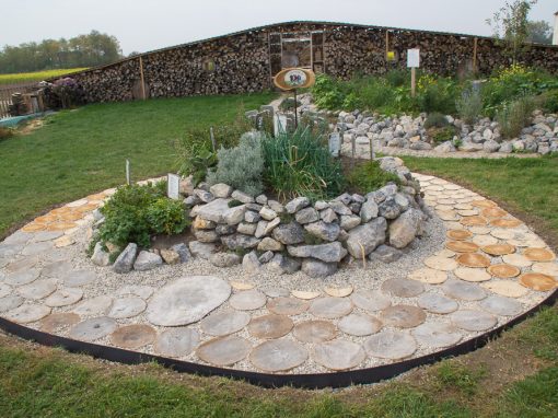 Aussaat Bienenweide im Kräutergarten