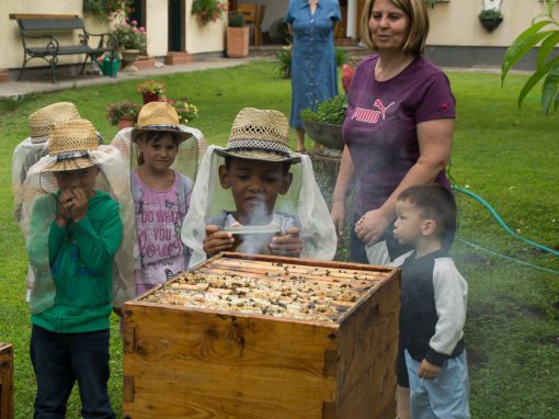 Kindergarten Breitensee – Ausflug zu den Bienen