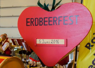 Familie Schmid Erdbeerfest 2016