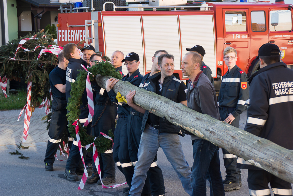 Maibaum aufstellen
