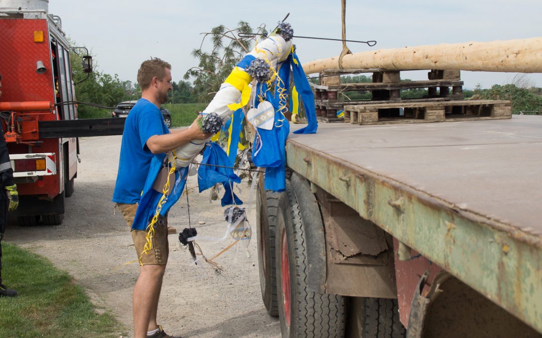 SC Breitensee – Maibaumaufstellen