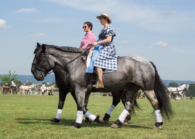 Barocke Tierparade in Schlosshof
