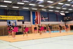 Pink Panthers Cheerleader 15