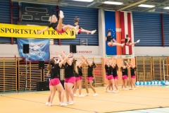 Pink Panthers Cheerleader 19