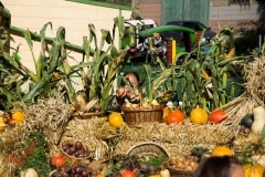 erntedankfest_breitensee_089