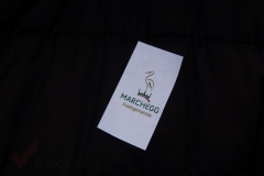 Faschingsumzug 2019 002