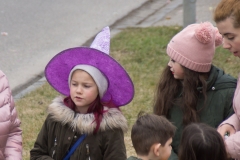 Faschingsumzug 2019 016