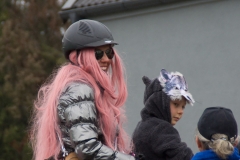 Faschingsumzug 2019 017