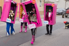 Faschingsumzug 2019 030