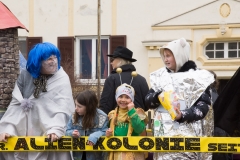 Faschingsumzug 2019 033