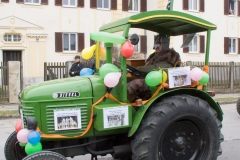 Faschingsumzug 2019 046