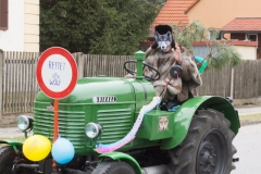 Faschingsumzug 2019 048