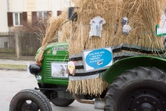 Faschingsumzug 2019 049
