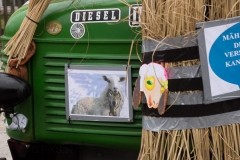 Faschingsumzug 2019 050
