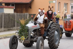 Faschingsumzug 2019 051