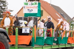 Faschingsumzug 2019 056