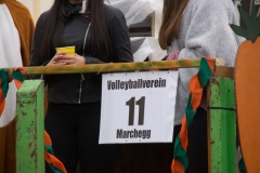 Faschingsumzug 2019 057