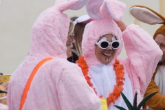 Faschingsumzug 2019 059