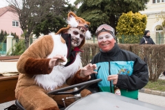 Faschingsumzug 2019 126