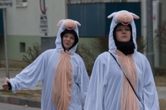 Faschingsumzug 2019 142