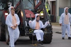 Faschingsumzug 2019 143