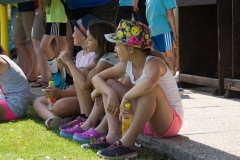 Fussball 133