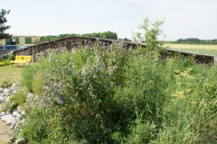 DSC06112