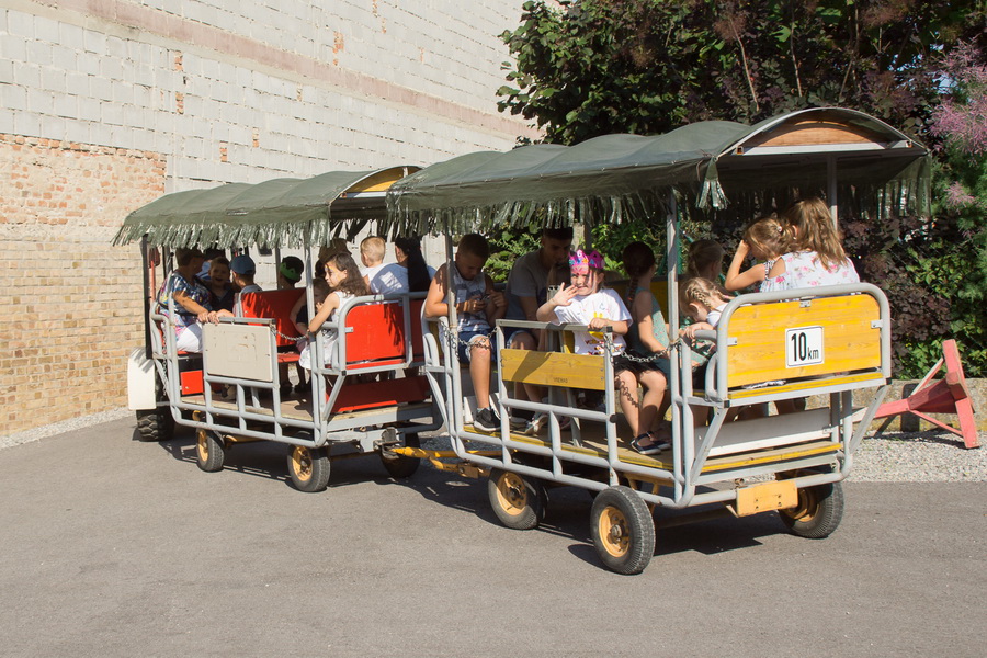 Kindergarten Abschlussfest 2019 - Breitensee im Marchfeld