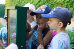 Bienen Kindergarten 15