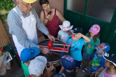 Bienen Kindergarten 18