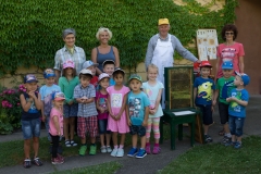 Bienen Kindergarten 41