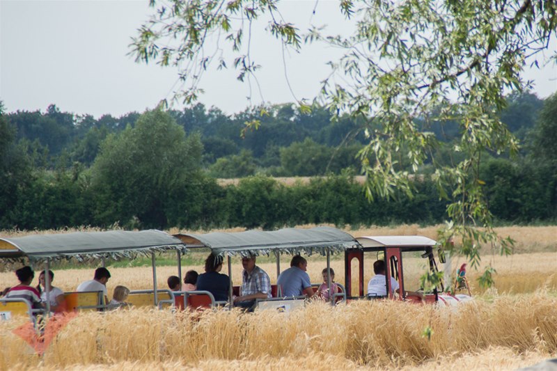 kirtag_breitensee_142
