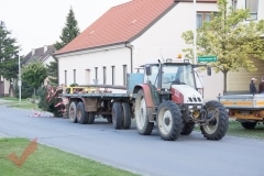 maibaum_01