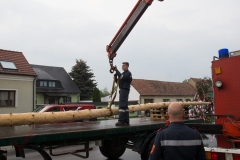 Maibaum-2019-06