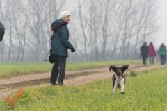 silvesterwandertag_34
