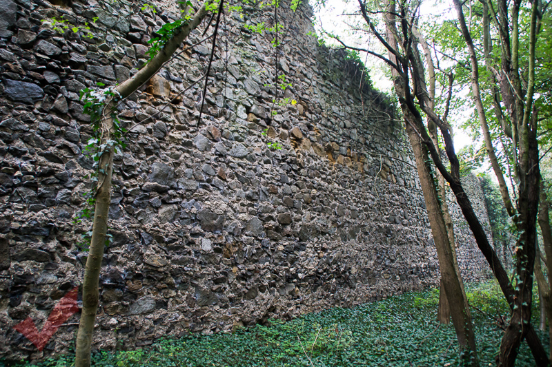 tag_der_stadtmauer_musikheim_marchegg_008
