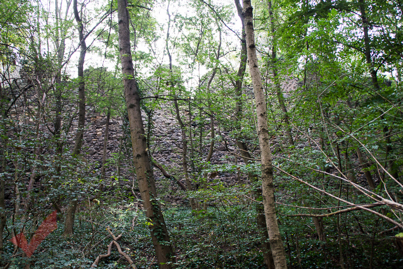 tag_der_stadtmauer_musikheim_marchegg_009