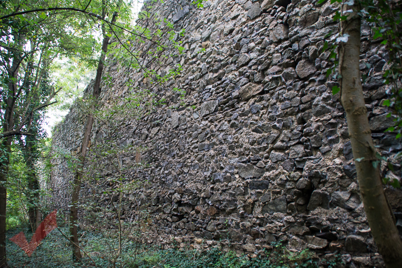 tag_der_stadtmauer_musikheim_marchegg_010