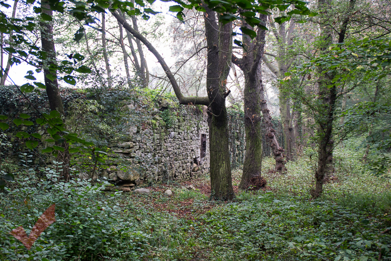 tag_der_stadtmauer_musikheim_marchegg_014
