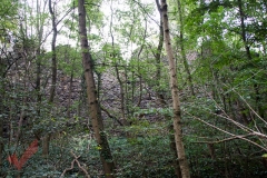 tag_der_stadtmauer_musikheim_marchegg_009