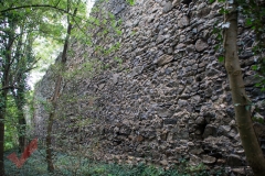 tag_der_stadtmauer_musikheim_marchegg_010