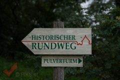tag_der_stadtmauer_musikheim_marchegg_019