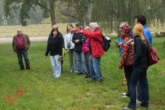 tag_der_stadtmauer_musikheim_marchegg_020