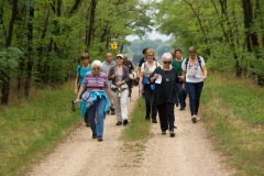 Wallfahrt Griossenbrunn 003