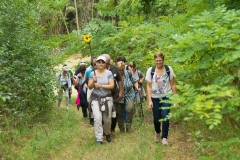 Wallfahrt Griossenbrunn 019