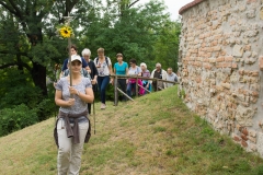 Wallfahrt Griossenbrunn 029