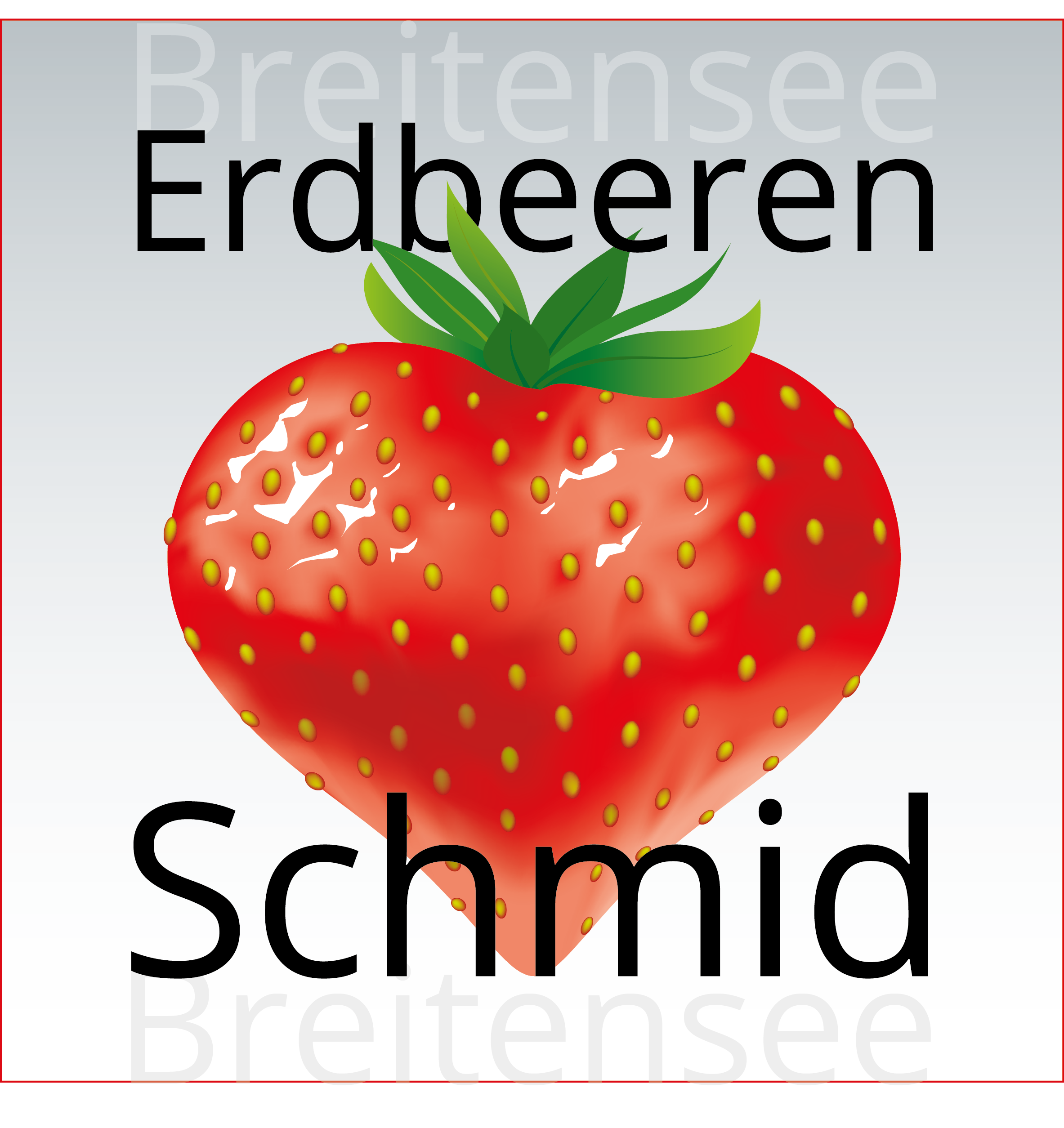 Schmid Erdbeeren