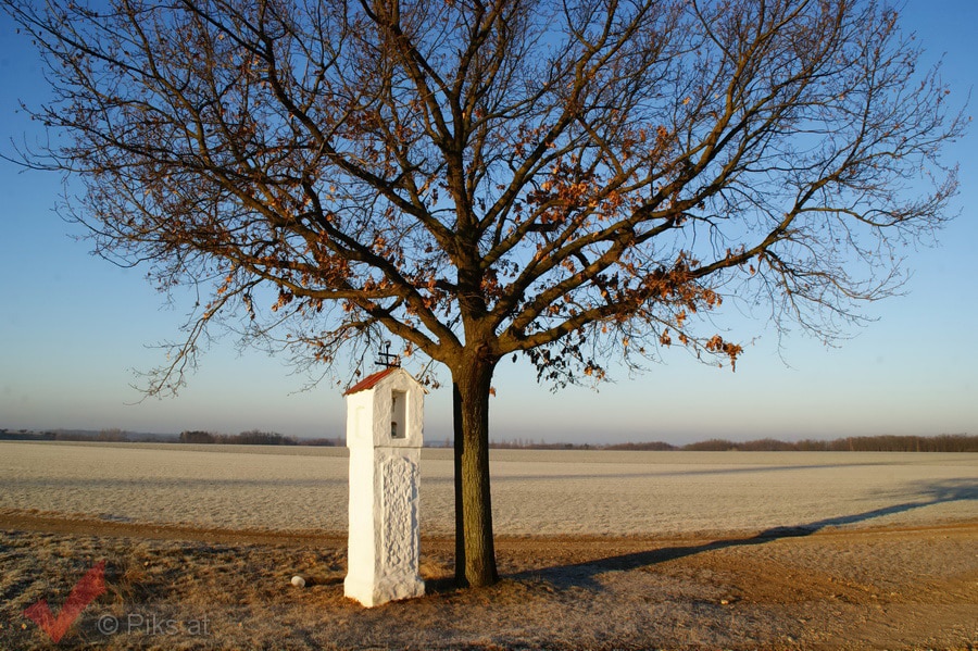 Breitensee im Winter 2012