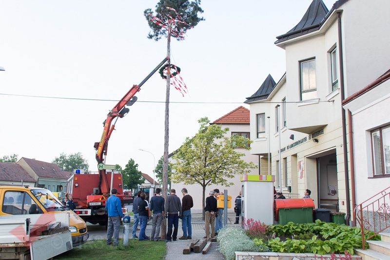 Maibaum aufstellen 2014